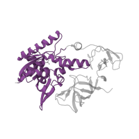 The deposited structure of PDB entry 2deu contains 2 copies of Pfam domain PF03054 (tRNA methyl transferase HUP domain) in tRNA-specific 2-thiouridylase MnmA. Showing 1 copy in chain C [auth A].