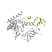 The deposited structure of PDB entry 2deu contains 2 copies of Pfam domain PF20259 (tRNA methyl transferase PRC-barrel domain) in tRNA-specific 2-thiouridylase MnmA. Showing 1 copy in chain C [auth A].