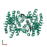 Malate dehydrogenase, mitochondrial in PDB entry 2dfd, assembly 1, front view.