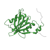 The deposited structure of PDB entry 2dkq contains 1 copy of SCOP domain 50755 (Phosphotyrosine-binding domain (PTB)) in Tensin-2. Showing 1 copy in chain A.