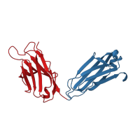 The deposited structure of PDB entry 2dqu contains 2 copies of CATH domain 2.60.40.10 (Immunoglobulin-like) in Ig-like domain-containing protein. Showing 2 copies in chain A [auth L].
