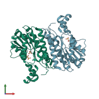 PDB entry 2dtd coloured by chain, front view.