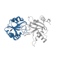 The deposited structure of PDB entry 2dv5 contains 2 copies of CATH domain 3.40.1010.10 (Cobalt-precorrin-4 Transmethylase; domain 1) in Diphthine synthase. Showing 1 copy in chain A.