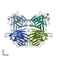 PDB entry 2dvb coloured by chain, front view.