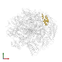 DNA-directed RNA polymerases I, II, and III subunit RPABC5 in PDB entry 2e2h, assembly 1, front view.