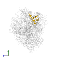 DNA-directed RNA polymerases I, II, and III subunit RPABC5 in PDB entry 2e2h, assembly 1, side view.