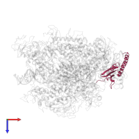 DNA-directed RNA polymerase II subunit RPB11 in PDB entry 2e2h, assembly 1, top view.