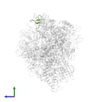 DNA-directed RNA polymerases I, II, and III subunit RPABC4 in PDB entry 2e2h, assembly 1, side view.