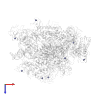 ZINC ION in PDB entry 2e2h, assembly 1, top view.