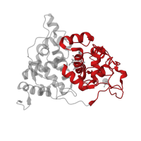 The deposited structure of PDB entry 2e39 contains 1 copy of CATH domain 1.10.420.10 (Peroxidase; domain 2) in Peroxidase. Showing 1 copy in chain A.