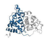 The deposited structure of PDB entry 2e39 contains 1 copy of CATH domain 1.10.520.10 (Peroxidase; domain 1) in Peroxidase. Showing 1 copy in chain A.