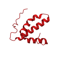 The deposited structure of PDB entry 2ein contains 2 copies of CATH domain 1.10.10.140 (Arc Repressor Mutant, subunit A) in Cytochrome c oxidase subunit 6B1. Showing 1 copy in chain H.