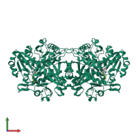 Homo tetrameric assembly 2 of PDB entry 2en5 coloured by chemically distinct molecules, front view.