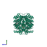 Homo tetrameric assembly 2 of PDB entry 2en5 coloured by chemically distinct molecules, side view.