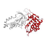 The deposited structure of PDB entry 2esm contains 2 copies of CATH domain 1.10.510.10 (Transferase(Phosphotransferase); domain 1) in Rho-associated protein kinase 1. Showing 1 copy in chain A.
