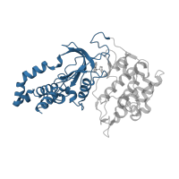The deposited structure of PDB entry 2esm contains 2 copies of CATH domain 3.30.200.20 (Phosphorylase Kinase; domain 1) in Rho-associated protein kinase 1. Showing 1 copy in chain A.