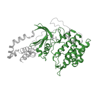 The deposited structure of PDB entry 2esm contains 2 copies of Pfam domain PF00069 (Protein kinase domain) in Rho-associated protein kinase 1. Showing 1 copy in chain A.