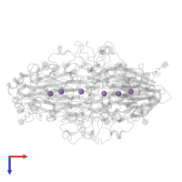 MANGANESE (II) ION in PDB entry 2ete, assembly 1, top view.