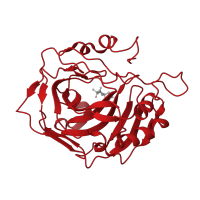 The deposited structure of PDB entry 2eu3 contains 1 copy of CATH domain 3.10.200.10 (Carbonic Anhydrase II) in Carbonic anhydrase 2. Showing 1 copy in chain A.