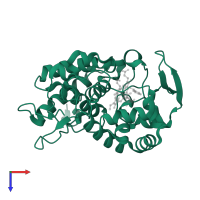 Cytochrome c peroxidase, mitochondrial in PDB entry 2eur, assembly 1, top view.