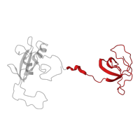 The deposited structure of PDB entry 2eyy contains 1 copy of CATH domain 2.30.30.40 (SH3 type barrels.) in Adapter molecule crk. Showing 1 copy in chain A.