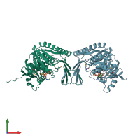 PDB entry 2f02 coloured by chain, front view.