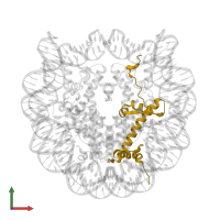 Core histone macro-H2A.1 in PDB entry 2f8n, assembly 1, front view.