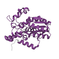 The deposited structure of PDB entry 2f90 contains 2 copies of SCOP domain 53255 (Cofactor-dependent phosphoglycerate mutase) in Bisphosphoglycerate mutase. Showing 1 copy in chain A.