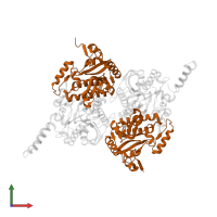 Acetyl-coenzyme A carboxylase carboxyl transferase subunit beta in PDB entry 2f9i, assembly 1, front view.