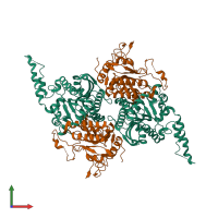 Hetero tetrameric assembly 1 of PDB entry 2f9y coloured by chemically distinct molecules, front view.