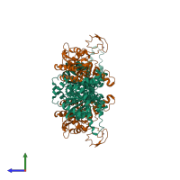 Hetero tetrameric assembly 1 of PDB entry 2f9y coloured by chemically distinct molecules, side view.