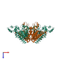 Hetero tetrameric assembly 1 of PDB entry 2f9y coloured by chemically distinct molecules, top view.
