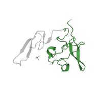 The deposited structure of PDB entry 2fd6 contains 1 copy of Pfam domain PF00051 (Kringle domain) in Urokinase-type plasminogen activator long chain A. Showing 1 copy in chain A.