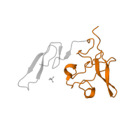 The deposited structure of PDB entry 2fd6 contains 1 copy of SCOP domain 57441 (Kringle modules) in Urokinase-type plasminogen activator long chain A. Showing 1 copy in chain A.