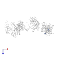 1,2-ETHANEDIOL in PDB entry 2fd6, assembly 2, top view.