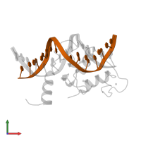 CTGTGGCCCTGAGCC in PDB entry 2ff0, assembly 1, front view.