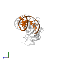 CTGTGGCCCTGAGCC in PDB entry 2ff0, assembly 1, side view.