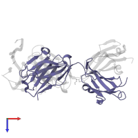 antibody heavy chain FAB in PDB entry 2fr4, assembly 2, top view.