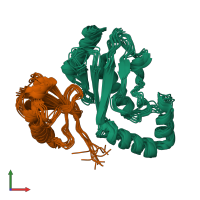 PDB entry 2fuh coloured by chain, ensemble of 10 models, front view.
