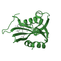The deposited structure of PDB entry 2fvv contains 1 copy of SCOP domain 55812 (MutT-like) in Diphosphoinositol polyphosphate phosphohydrolase 1. Showing 1 copy in chain A.