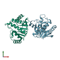 PDB entry 2fxk coloured by chain, front view.