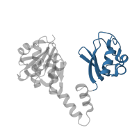 The deposited structure of PDB entry 2fy8 contains 8 copies of CATH domain 3.30.70.1450 (Alpha-Beta Plaits) in Calcium-gated potassium channel MthK. Showing 1 copy in chain A.