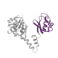 The deposited structure of PDB entry 2fy8 contains 8 copies of Pfam domain PF02080 (TrkA-C domain) in Calcium-gated potassium channel MthK. Showing 1 copy in chain A.