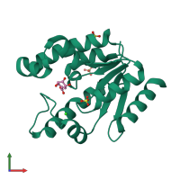 PDB entry 2g1k coloured by chain, front view.