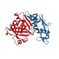The deposited structure of PDB entry 2g1y contains 4 copies of CATH domain 2.40.70.10 (Cathepsin D, subunit A; domain 1) in Renin. Showing 2 copies in chain A.