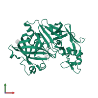 Renin in PDB entry 2g1y, assembly 1, front view.