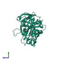 Renin in PDB entry 2g1y, assembly 1, side view.