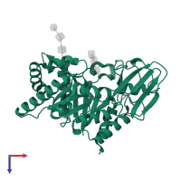 Chitinase-3-like protein 1 in PDB entry 2g41, assembly 1, top view.