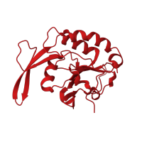 The deposited structure of PDB entry 2ghq contains 2 copies of CATH domain 3.40.50.1000 (Rossmann fold) in Carboxy-terminal domain RNA polymerase II polypeptide A small phosphatase 1. Showing 1 copy in chain A.