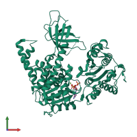 Monomeric assembly 1 of PDB entry 2gk6 coloured by chemically distinct molecules, front view.